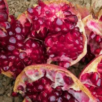 انار رباب|خوردنی و آشامیدنی|بختگان, |دیوار