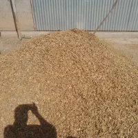 پوسته بادام خشک.و بادام مامایی و ربی و سنگی