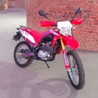 تریل باسل250سی سی