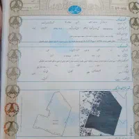 زمین، ملک مسکونی واقع در بلوار ارغوانیه