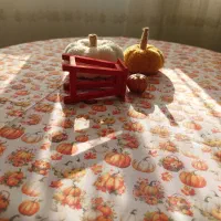 رومیزی ضدلک برای یلدا سفره دستمال دکوراتیو|سفره، حوله، دستمال آشپزخانه|کرج, گلستان|دیوار