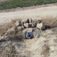 زمین-باغی500متر