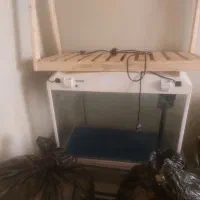 اکواریوم شرکتی