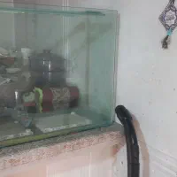 آکواریوم لبه حلال