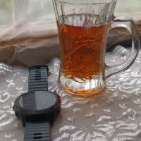 گارمین فنیکس ۶ سولار