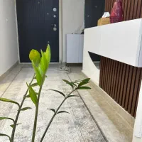 استخدام نظافت چی در منزل