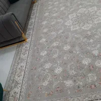 یک جفت ۱۲ متری نوو
