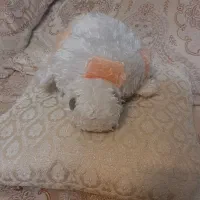 لبوبو عروسک و اسباب بازی ولنتاین روز دختر|اسباببازی بچه|مشهد, الهیه|دیوار