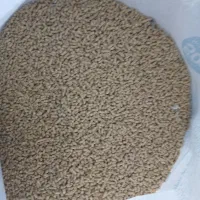 خوراک مرغی میان دان ۲