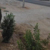 رهن-و-اجاره-کارگاه