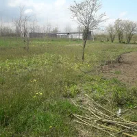 زمین باغی