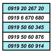0919.20.267.20