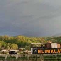 استخدام نیرو