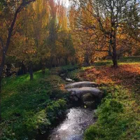 خانه روستای دربخش نختالو روستای حیدرباغی|فروش خانه و ویلا|نختالو, |دیوار