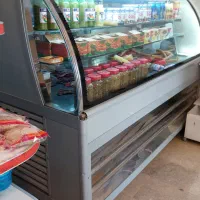 یخچال پروتئین ولبنیات