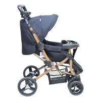 کالسکه دلیجان مدل بنیتا