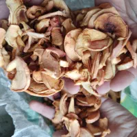 برگه سیب|خوردنی و آشامیدنی|شیراز, شهرک والفجر|دیوار