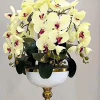 گلدان ارکیده