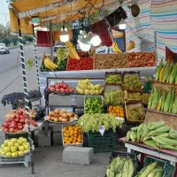 سایبان شش نیم متری|فروشگاه و مغازه|رشت, حمیدیان|دیوار