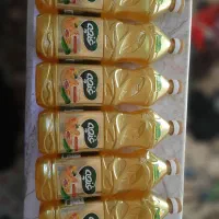 روغن مایع  ۸۱۰ گرمی غنچه