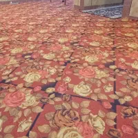 موکت نو|موکت|زابل, |دیوار