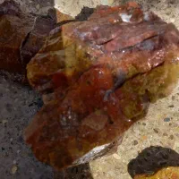 سنگ های شجر مخصوص نگین