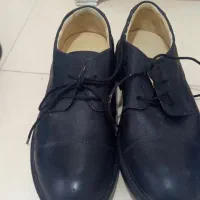 کفش ورزشی سالنی،مجلسی.کتونی.نیم پوتین|کیف، کفش، کمربند|سرخه حصار, |دیوار