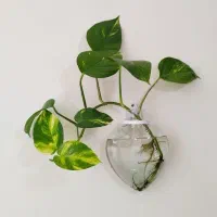 گلدان دیواری شیشهای