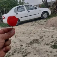 تیبا ۹۵