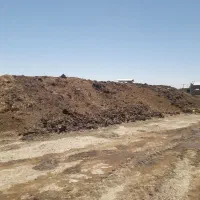 کودخشک  گاوی