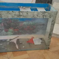 آکفاریوم سالم