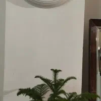 ساعت دیواری اورجینال سون موتور کوارتز|ساعت دیواری و تزئینی|تبریز, |دیوار