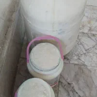 ماست پوستی|خوردنی و آشامیدنی|مشهد, طبرسی شمالی|دیوار