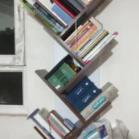 دو عدد کتابخانه درختی دیواری|کتابخانه، شلف، قفسه‌های دیواری|شیراز, فرگاز|دیوار