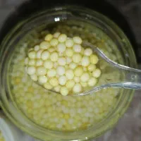 خاویار حلزون تازه هر روز