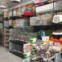 قفس لوازم پرنده|لوازم جانبی حیوانات|قم, پردیسان|دیوار