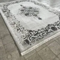 حس نقره‌ای