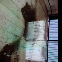 شرکت خدمات نظافتی بانو