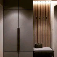 آینه کنسول و جاکفشی و جالباسی|جاکفشی، کمد، دراور|زابل, |دیوار