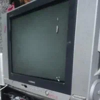 تلویزیون