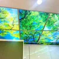 اجاره اپارتمان بالای مبل پایتخت بر نقدی