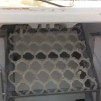 دستگاه جوجه کشی ۸۵تایی|لوازم جانبی حیوانات|قم, نخودی|دیوار