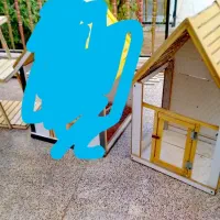 جفت کن چوبی محکم تمیز و قفس چوبی کلبه ای نو|لوازم جانبی حیوانات|میبد, |دیوار