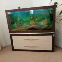 اکواریوم با تمام لوازم