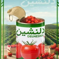 پخش رب دلنشین وموادغذایی