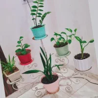 استند گل با گل