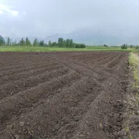 زمین-کشاورزی-خاک-عالی-مرگورهفت-آباد-7000متر