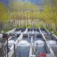 کار در مزرعه پرورش ماهی