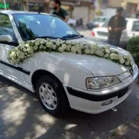 ماشین عروس|گل و گیاه طبیعی|مشهد, رده|دیوار