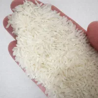 برنج هاشمی دره رود